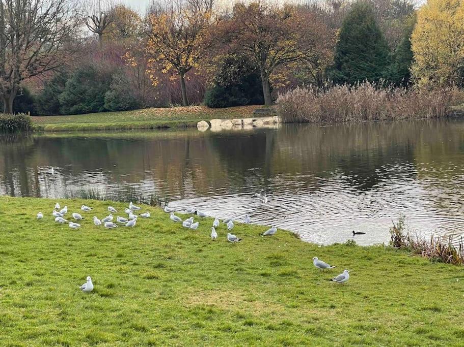 Masion Belle Vue Daire Sarcelles Dış mekan fotoğraf